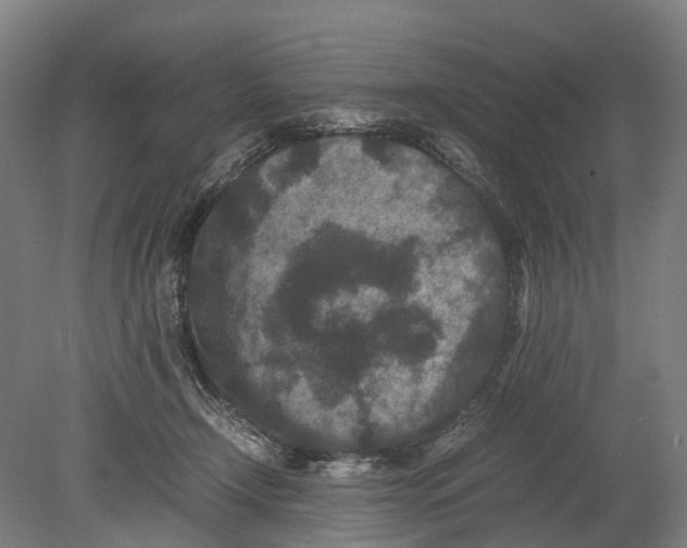 X0000080190366200701051729