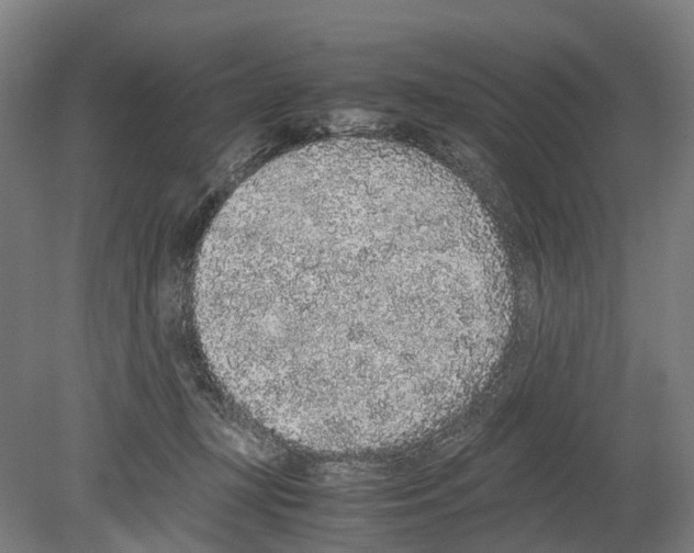 X0000080190367200701051729