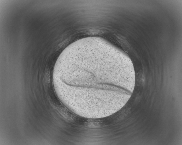 X0000080190368200701051729