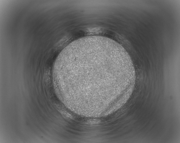 X0000080190369200701051729