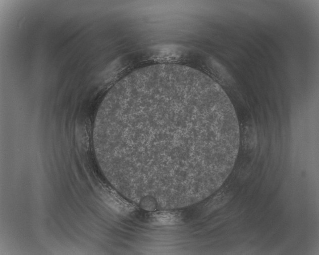 X0000080190370200701051729