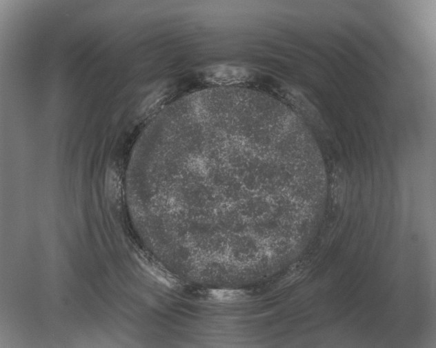 X0000080190371200701051729