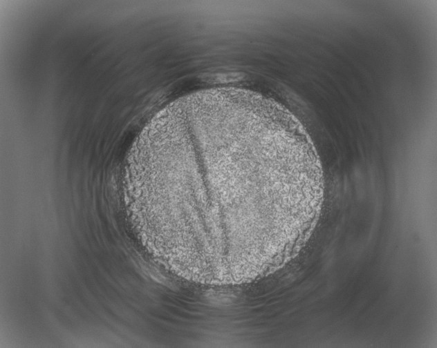 X0000080190373200701051729