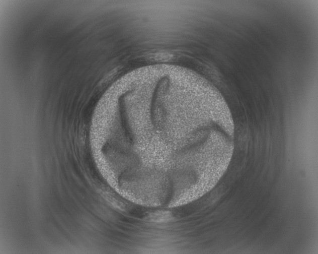 X0000080190374200701051729