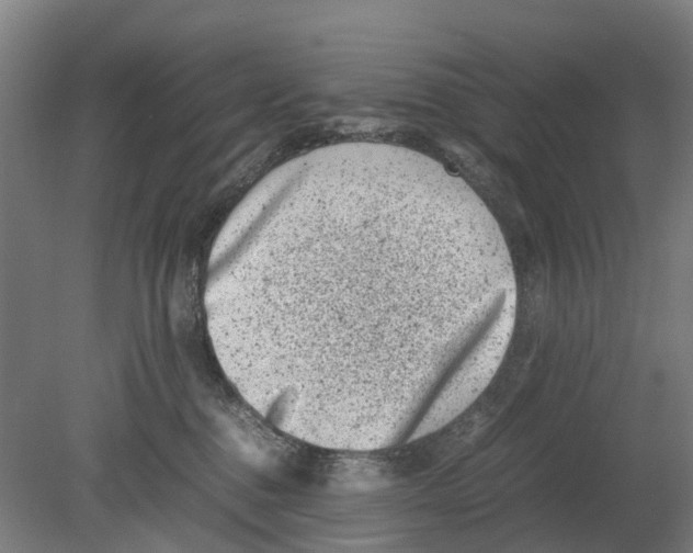 X0000080190376200701051729