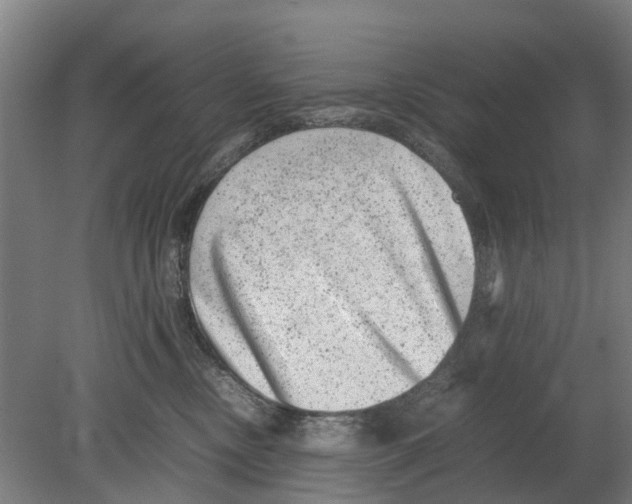 X0000080190378200701051729