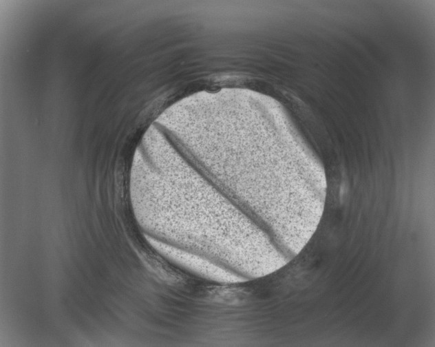 X0000080190379200701051729