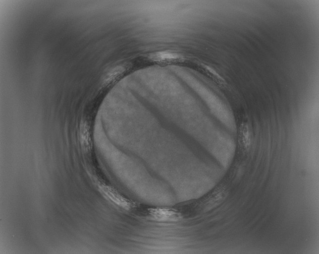 X0000080190380200701051729