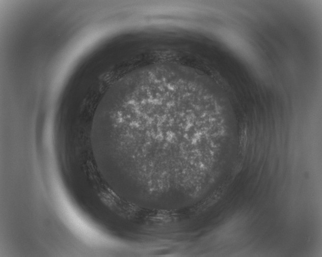 X0000080190383200701051729