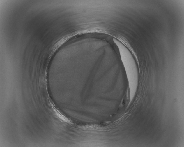 X0000080190389200701051728