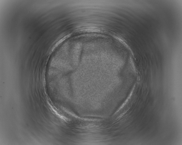 X0000080190390200701051728