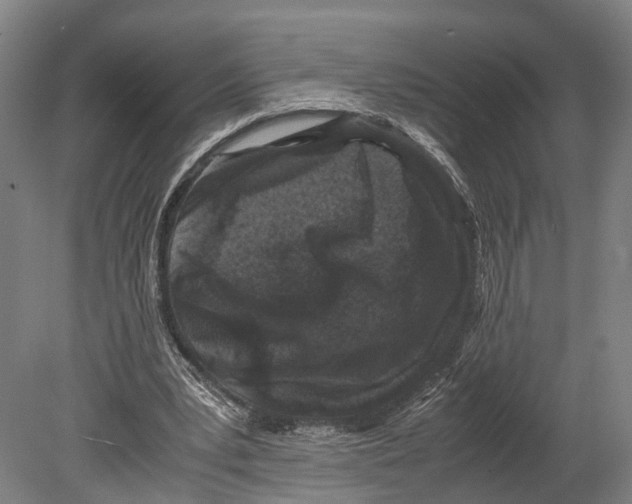 X0000080190391200701051728