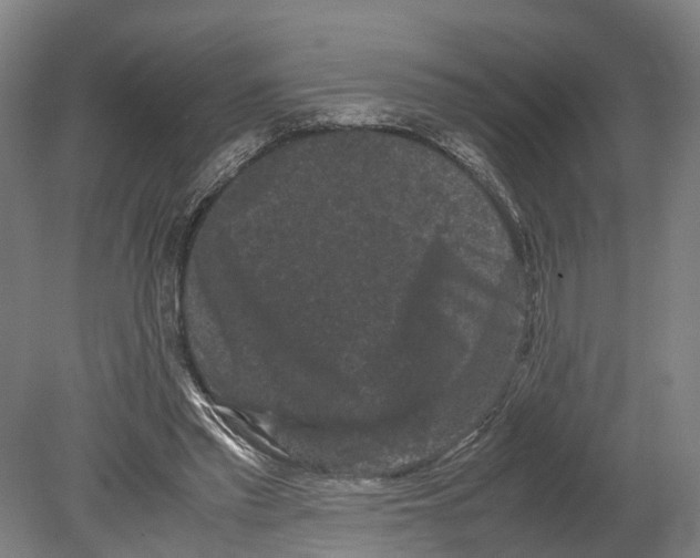 X0000080190397200701051728