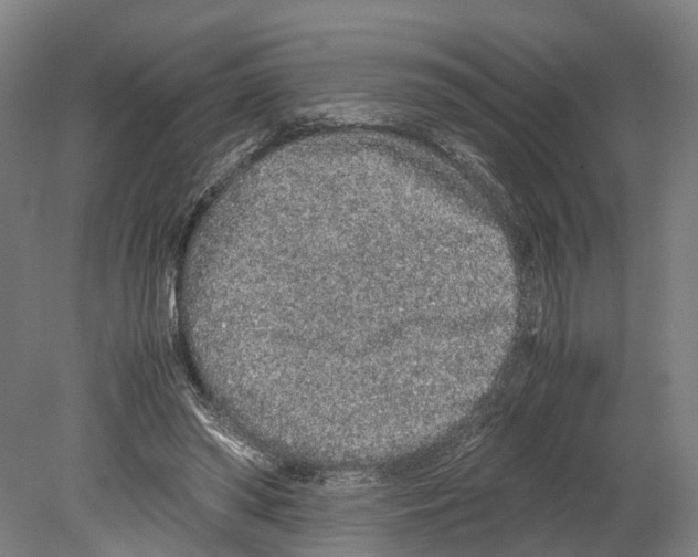 X0000080190398200701051728