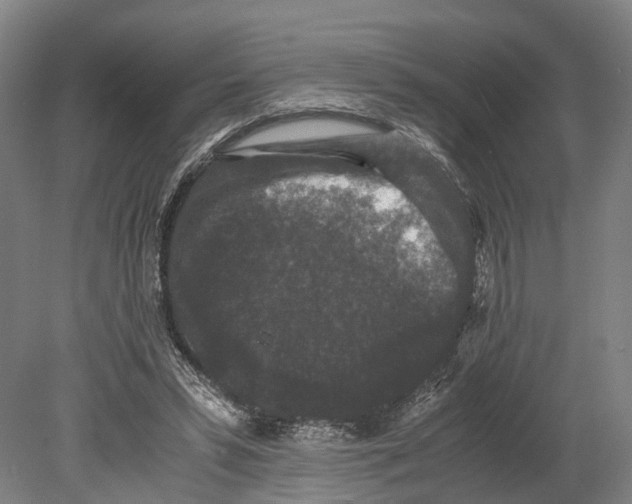 X0000080190399200701051728