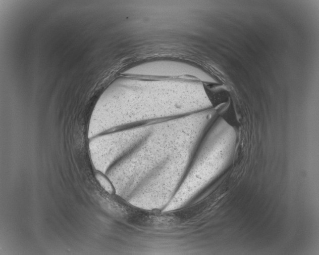 X0000080190401200701051728