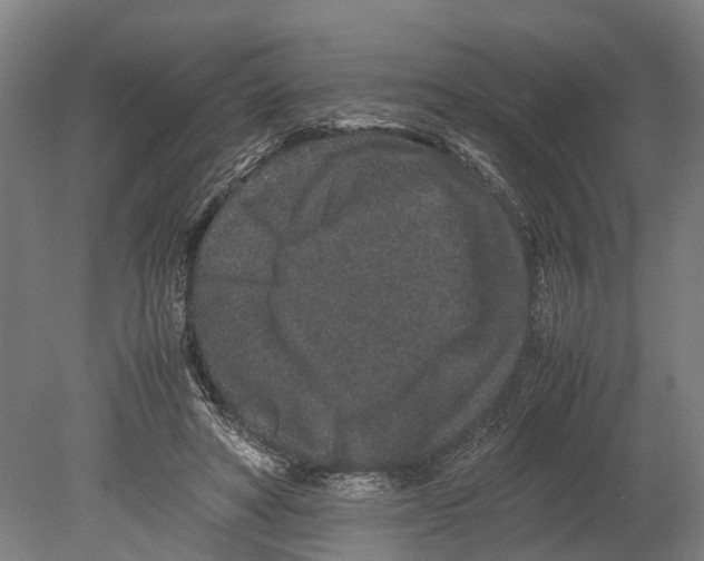 X0000080190402200701051728