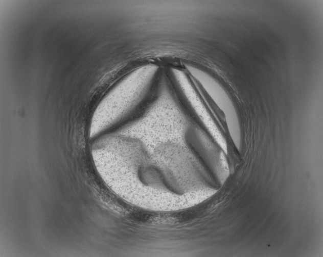 X0000080190403200701051728