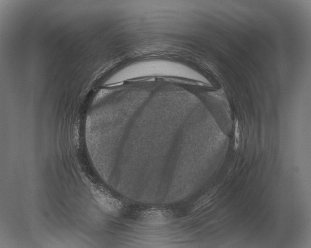 X0000080190404200701051728