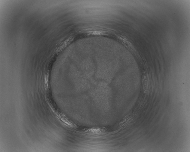 X0000080190406200701051728