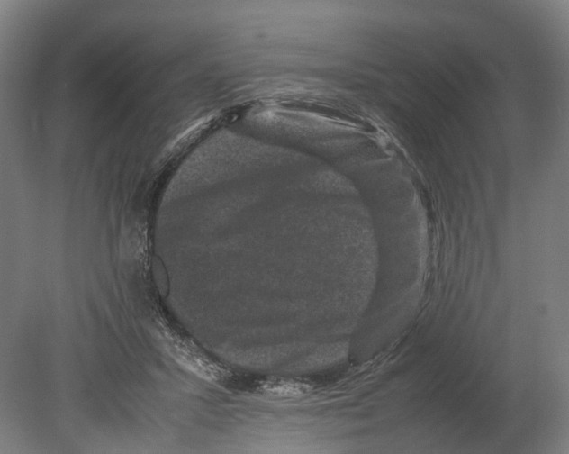 X0000080190407200701051728