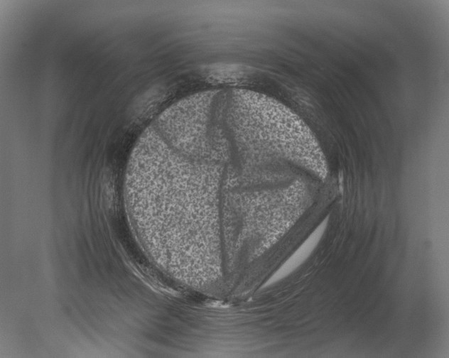 X0000080190408200701051728