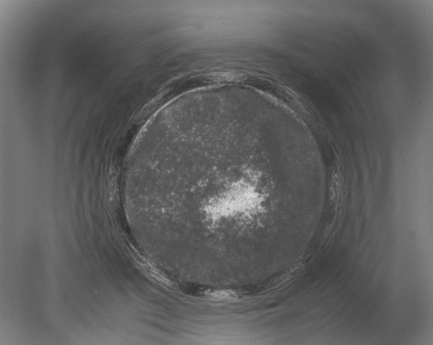 X0000080190409200701051728