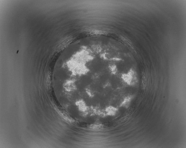 X0000080190410200701051728