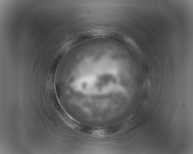 X0000080190411200701051728