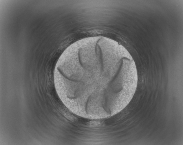 X0000080190418200701051728