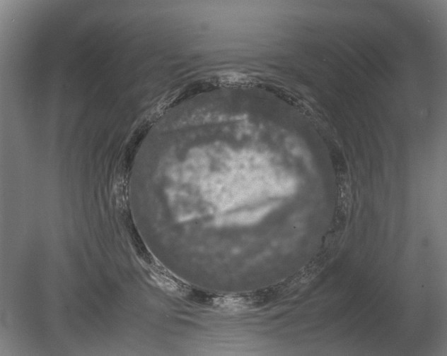 X0000080190419200701051728