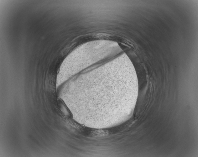 X0000080190421200701051728