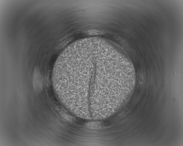 X0000080190422200701051728