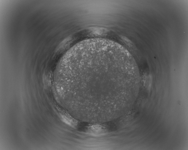 X0000080190423200701051728