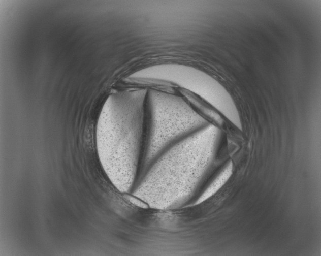 X0000080190425200701051728