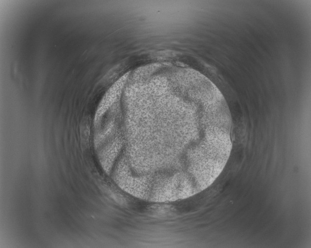 X0000080190427200701051728