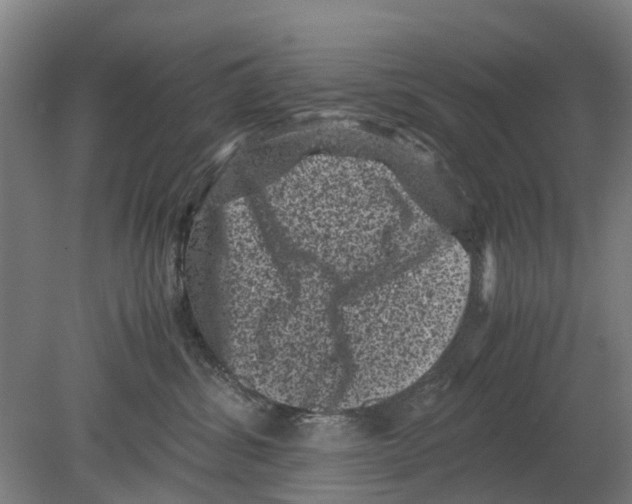 X0000080190428200701051728