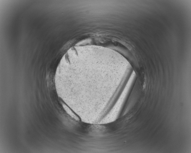 X0000080190429200701051728