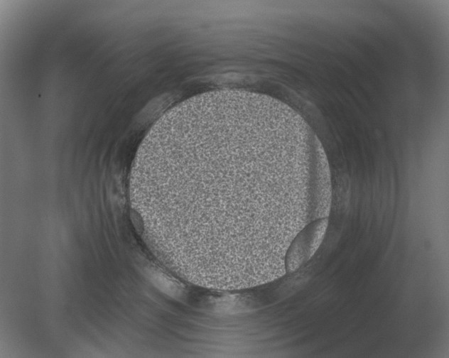 X0000080190430200701051728