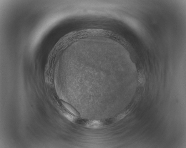 X0000080190431200701051728