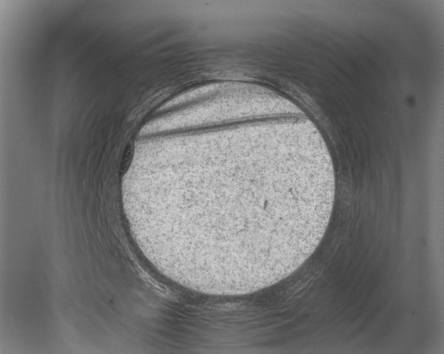 X0000080190433200701051727