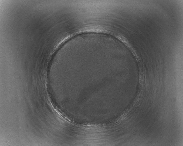 X0000080190434200701051727