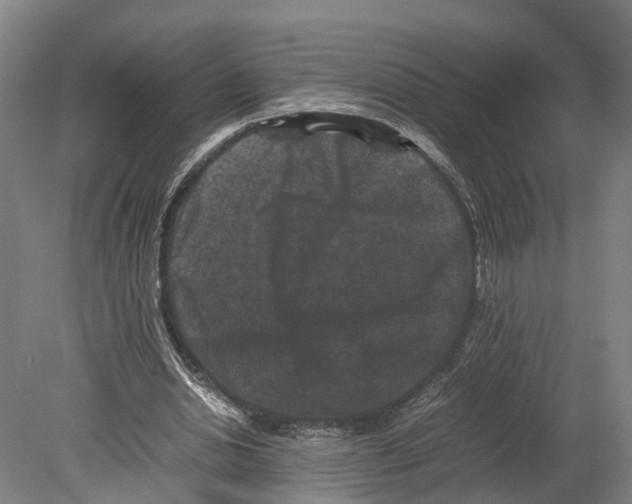 X0000080190438200701051727