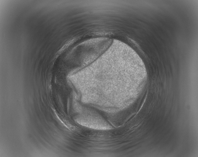 X0000080190443200701051727