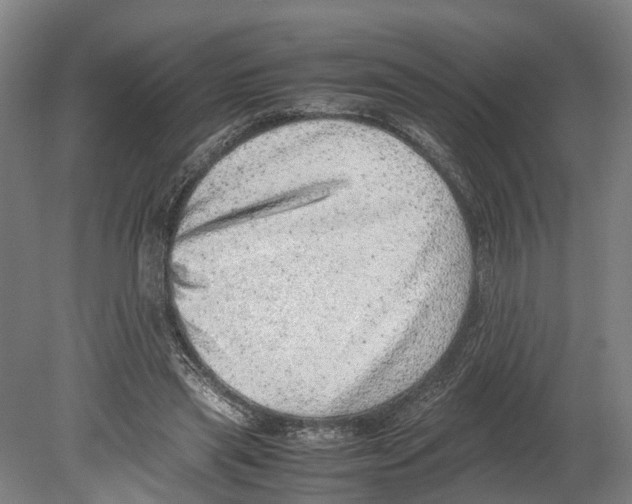 X0000080190445200701051727