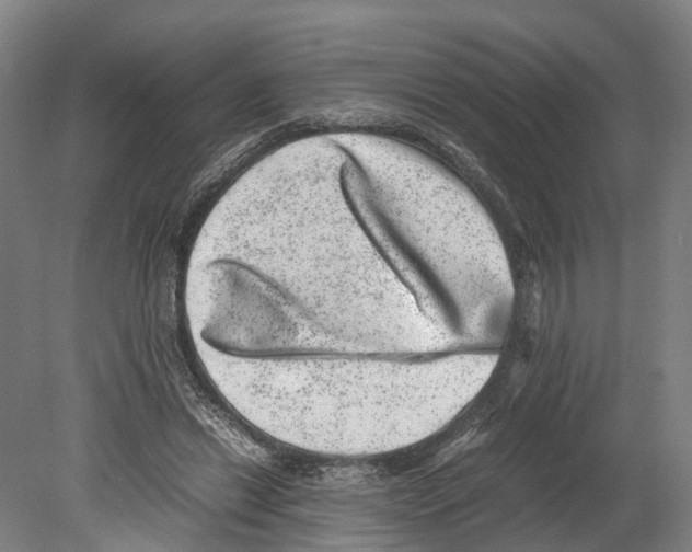 X0000080190446200701051727