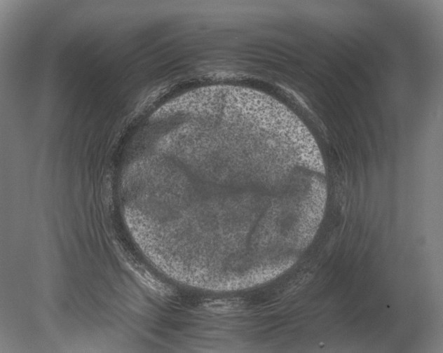 X0000080190447200701051727