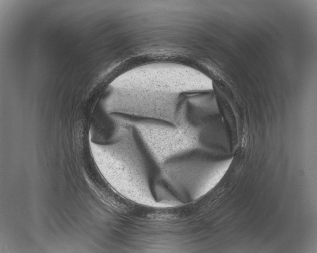 X0000080190448200701051727