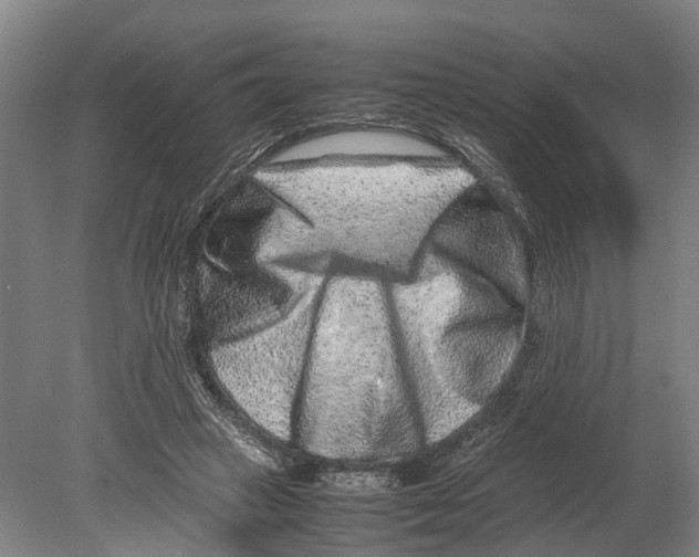 X0000080190449200701051727