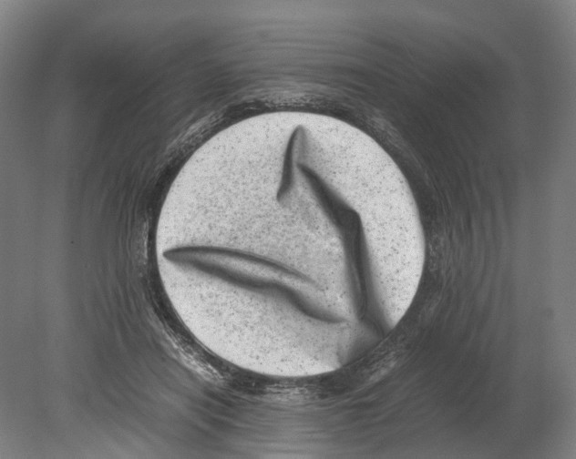 X0000080190454200701051727